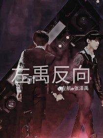 左禹反向