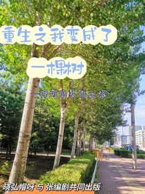 重生之我變成了一棵樹(shù)