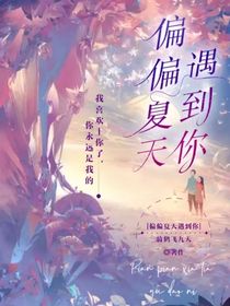 偏偏夏天遇到你