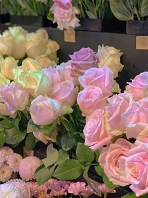 劉思軒：對(duì)不起！我不配