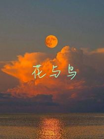 一支花，一只鸟