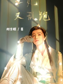 王妃又乱跑