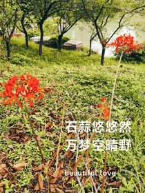 我想吐槽呢