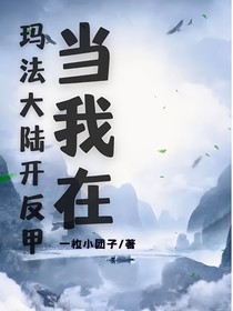 当我在玛法大陆开反甲