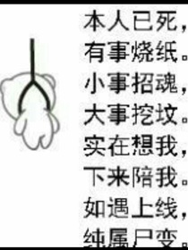 我成为了赛罗的姐姐