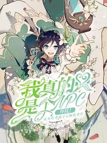 原神：拜托我真的只是个NPC！