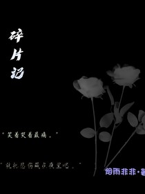 碎片记