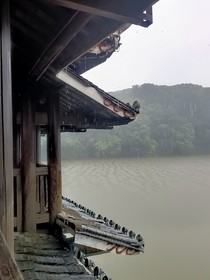 卌尐
