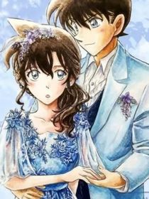 名侦探新一新兰婚后生活！，