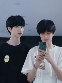 TF家族：芝芝莓莓