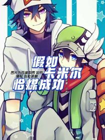 假如卡米尔恰煤成功