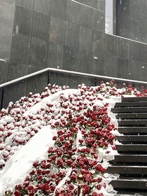 雷兼雨