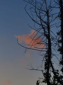 青平始终