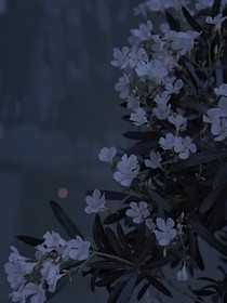 雜亂文案秘密據(jù)點(diǎn)