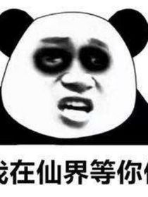 沙雕之作者在发癫