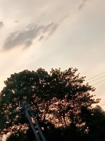 女尊：我带着一个世界穿越了-d033