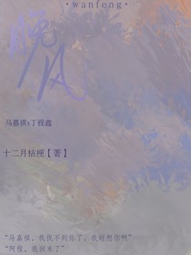 祺鑫：晚风