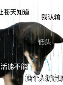 苦逼女主要跳槽