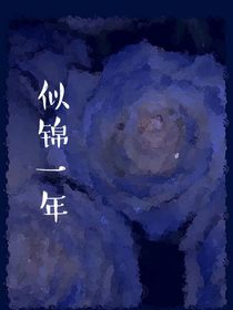 似锦一年