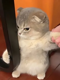 因钱而来