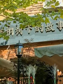 明媚的少年