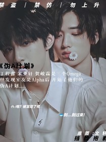 伪A计划：