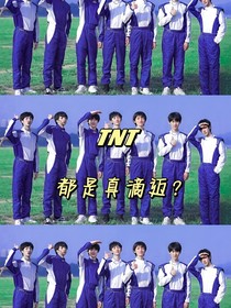 TNT：都是真滴迈？