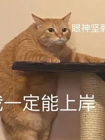 我独：当自己成了系统穿越世界