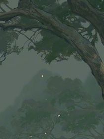 院科士