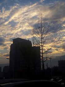 沉默的海洋
