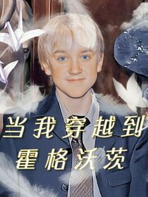 重生之我是诺特小姐