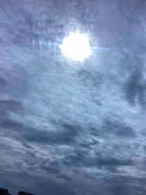 影子在