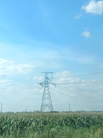 我以为我是兔子