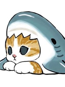 七日时限
