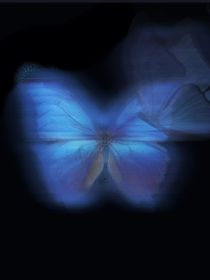 Butterfly：蝴蝶效应
