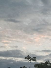 小狗嚴浩翔