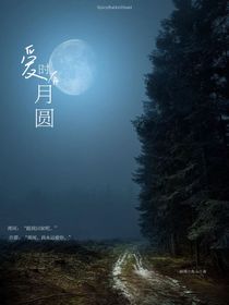 爱时有月圆