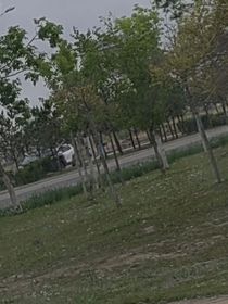 白日梦想嫁