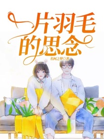 一片羽毛的思念