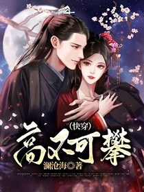 高不可攀（快穿）