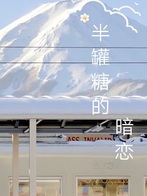 半罐糖的暗恋