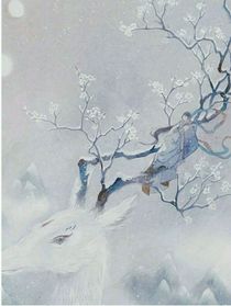 我寄人间满白头