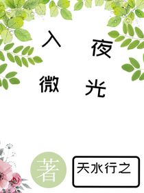 入夜微光
