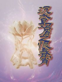 沉香如屑之恨春宵