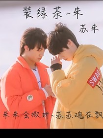 装绿茶—朱