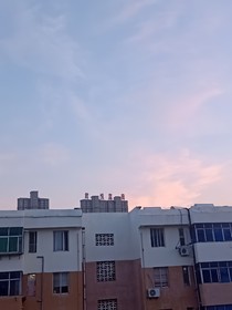 墜落的花神