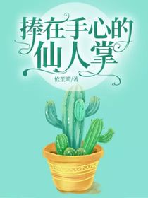 捧在手心的仙人掌