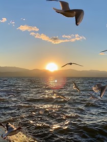 海贼王——尽头