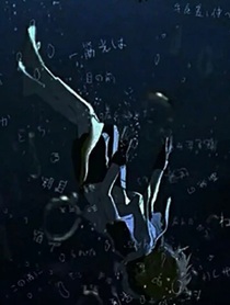 坠落星辰……