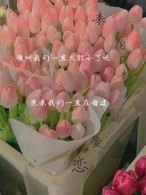 来自我的爱恋